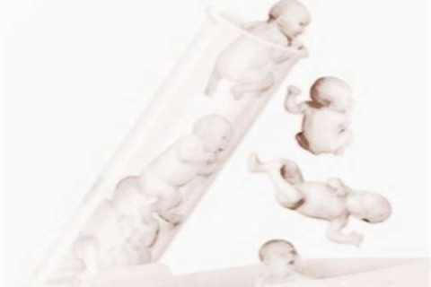 促排怀孕的成功率高吗